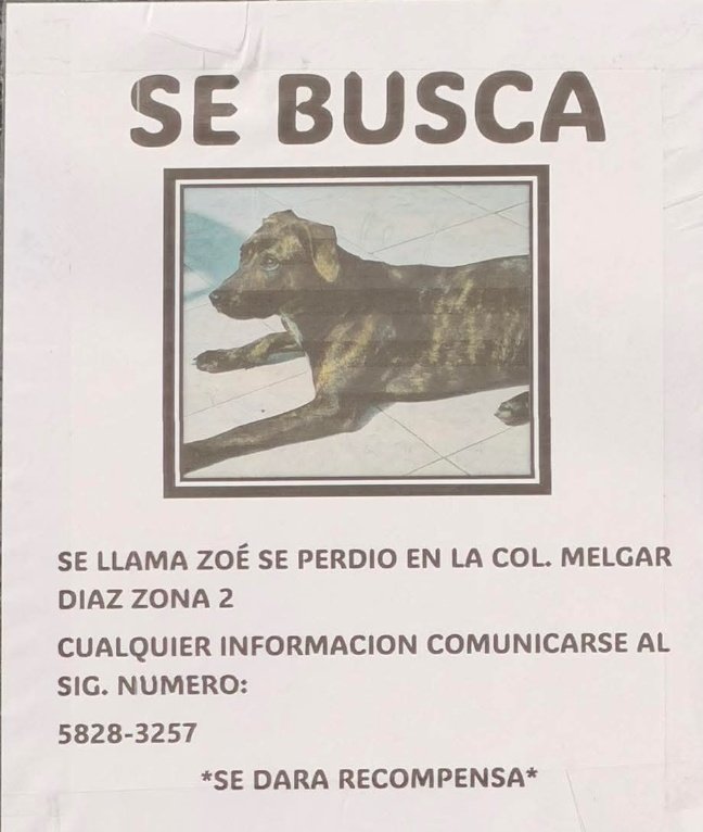 Julio César Serrano tweet media