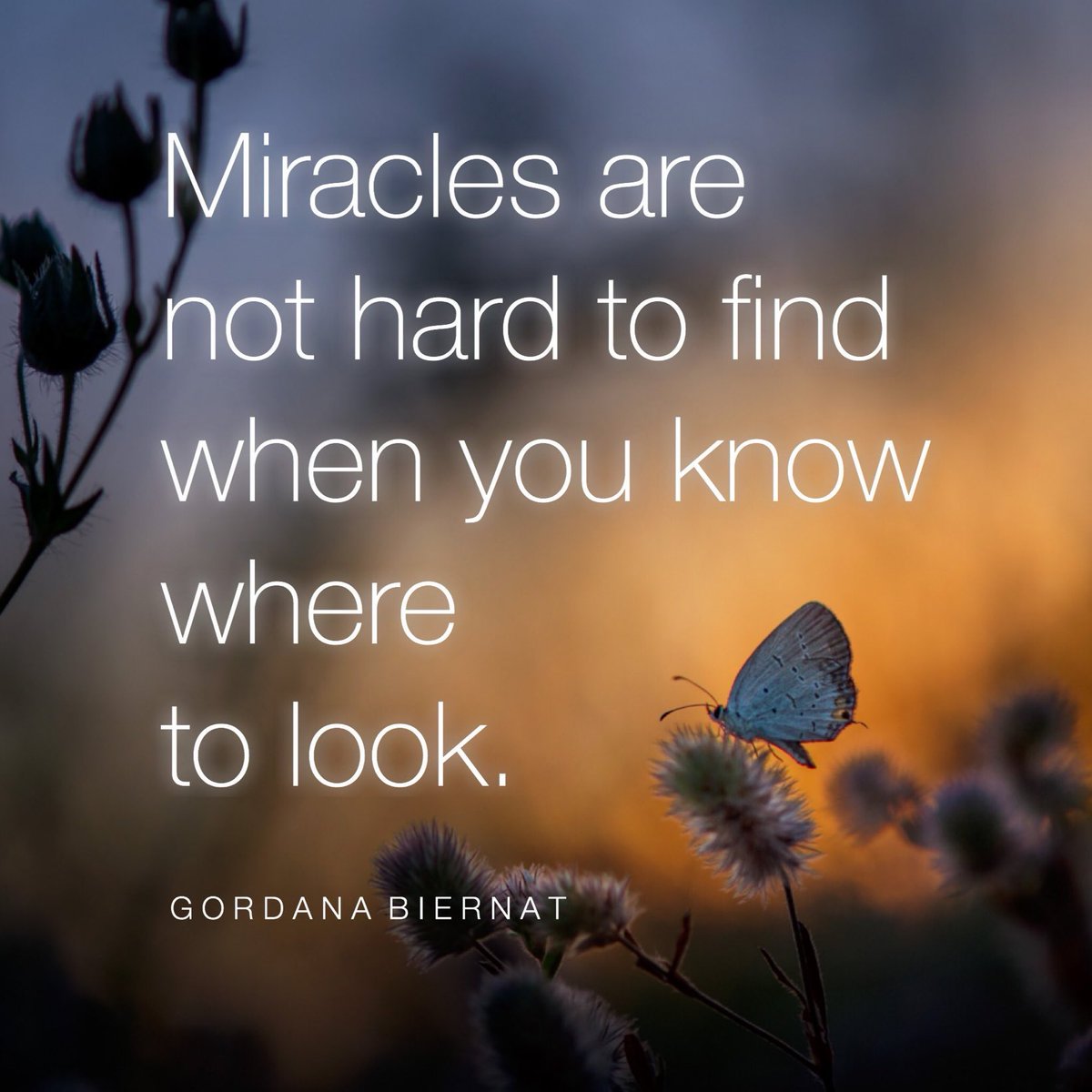 MyPowertalk's tweet image. Every breath is a miracle.
Every smile is a miracle.
Every blade of grass is a miracle.
Every drop of water is a miracle.
Every apple is a miracle.
Every wave reaching the shore
is a miracle...

Miracles are not hard to find
when you know where to look. ♥️