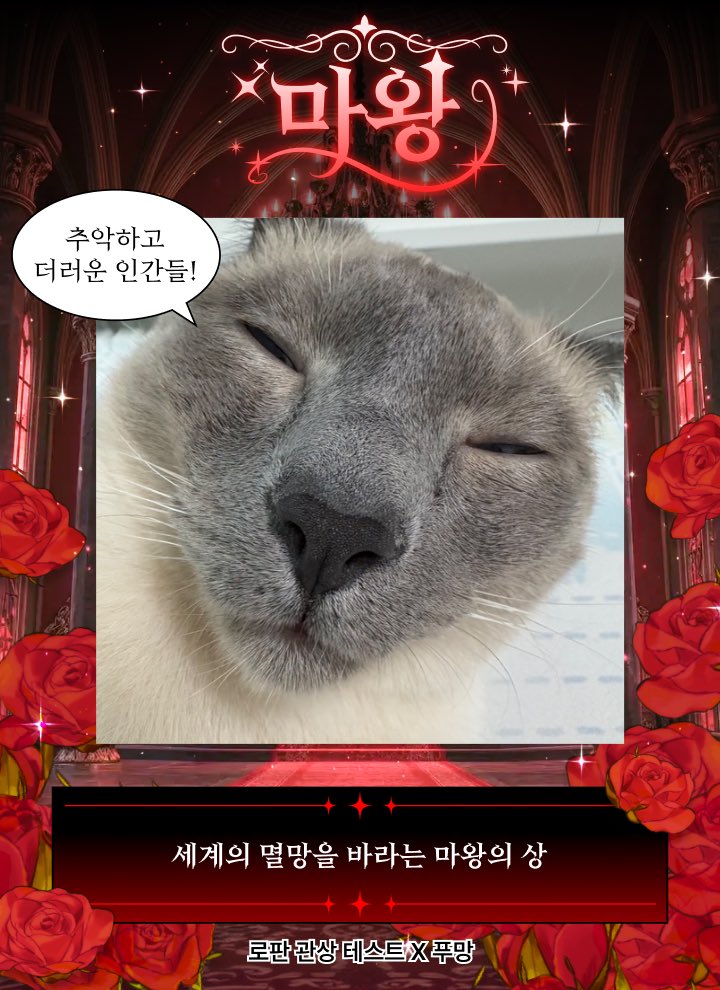 백하얀 🎐🩵 tweet media