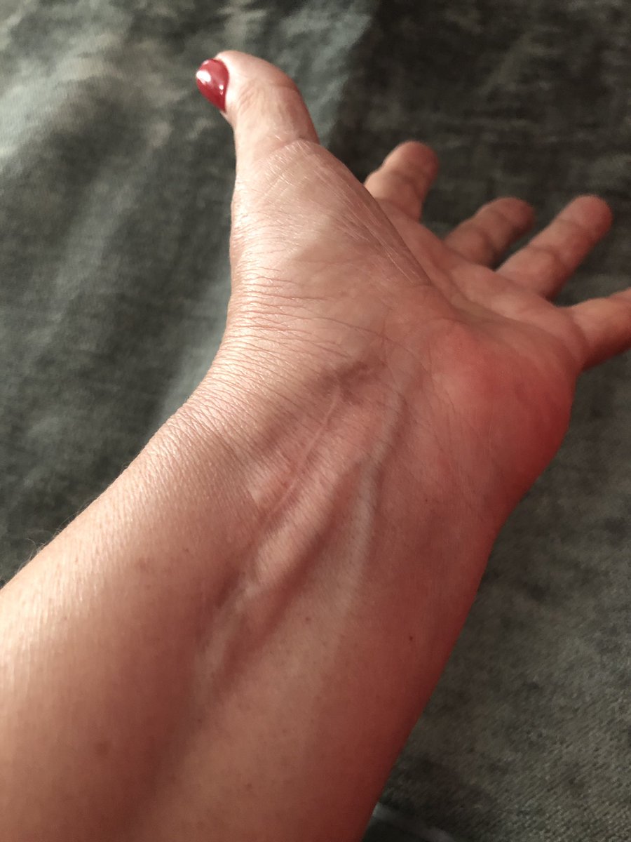 Pilu Lleida tweet media