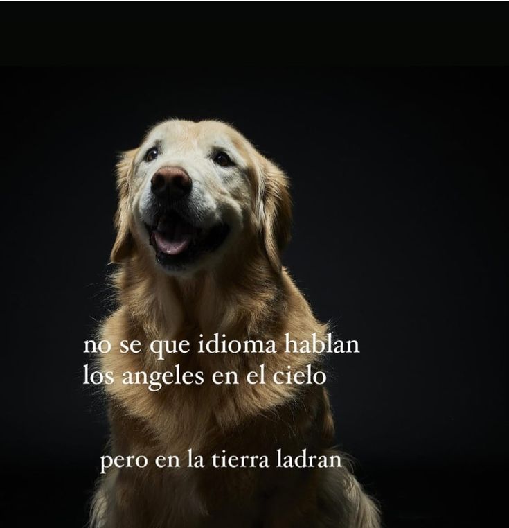 Max 🇦🇷 tweet media