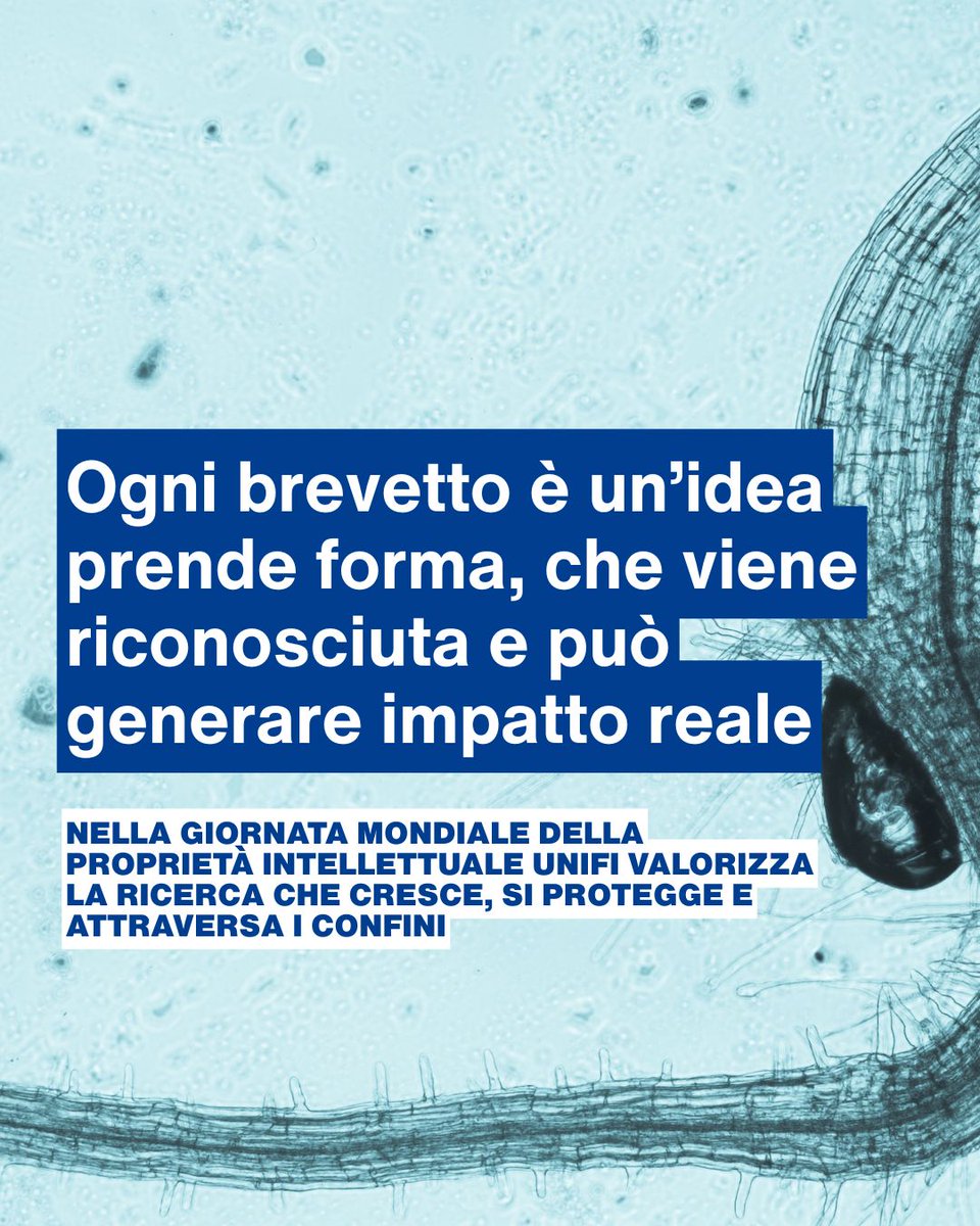 Università di Firenze tweet media