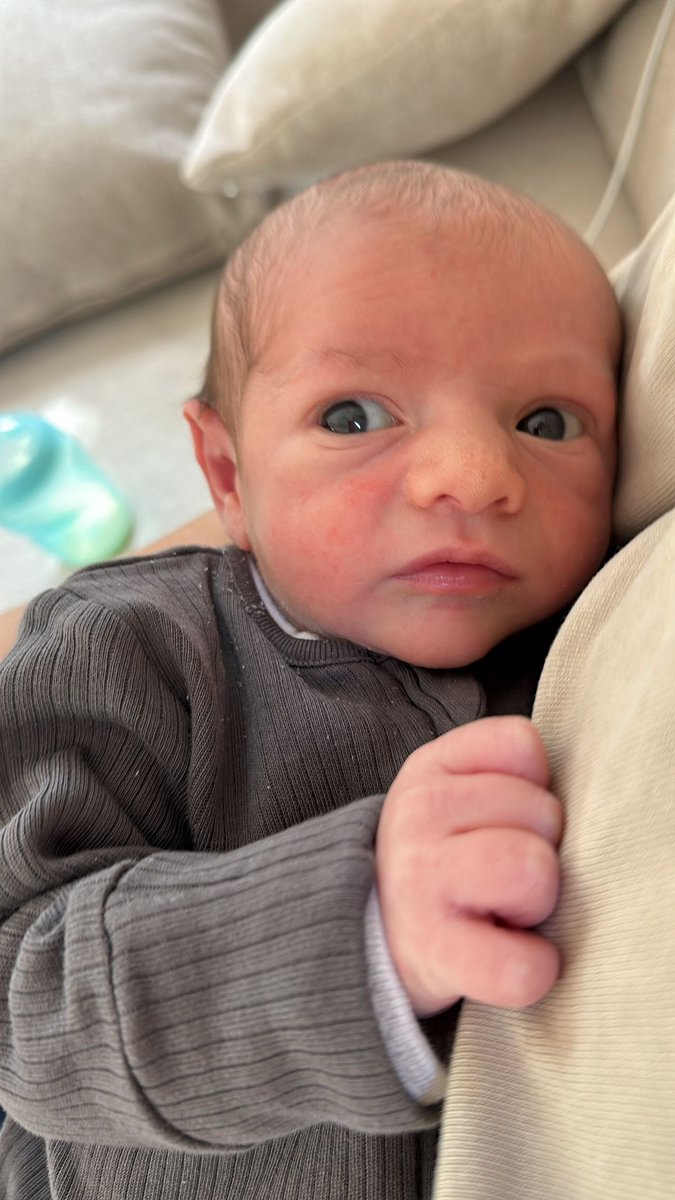 Haim Etgar tweet media