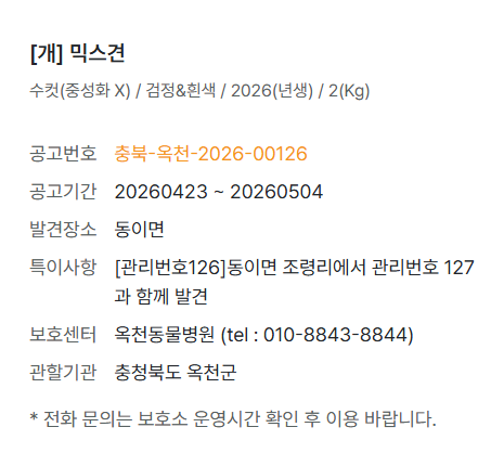 와 악성곱슬 가나디