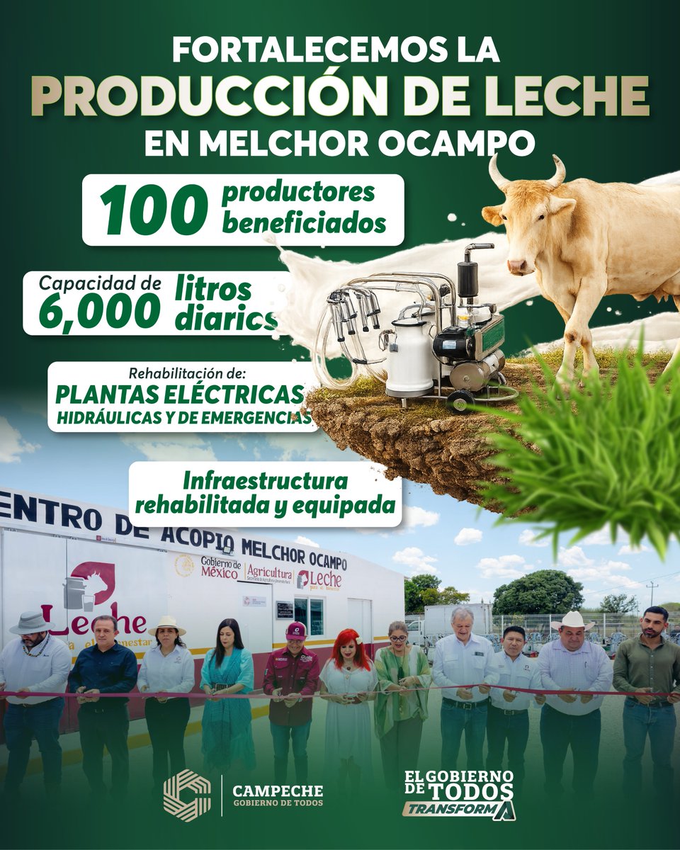 Layda Sansores tweet media