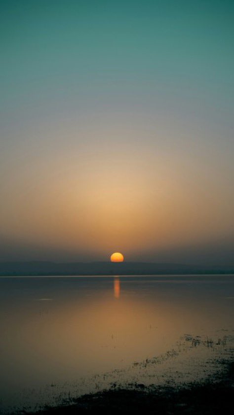 Aesthetics tweet media