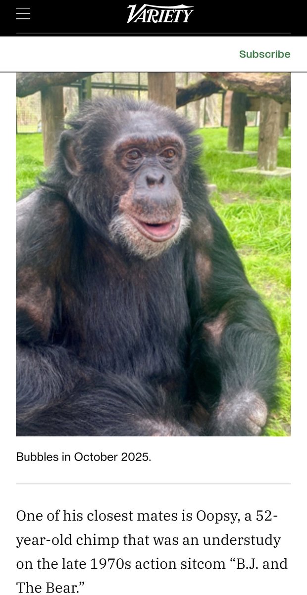 Lizzs_Lockeroom's tweet image. Speaking of Bubbles... this is a #FunFact connection to "BJ &amp;amp; The Bear" #IYKYK