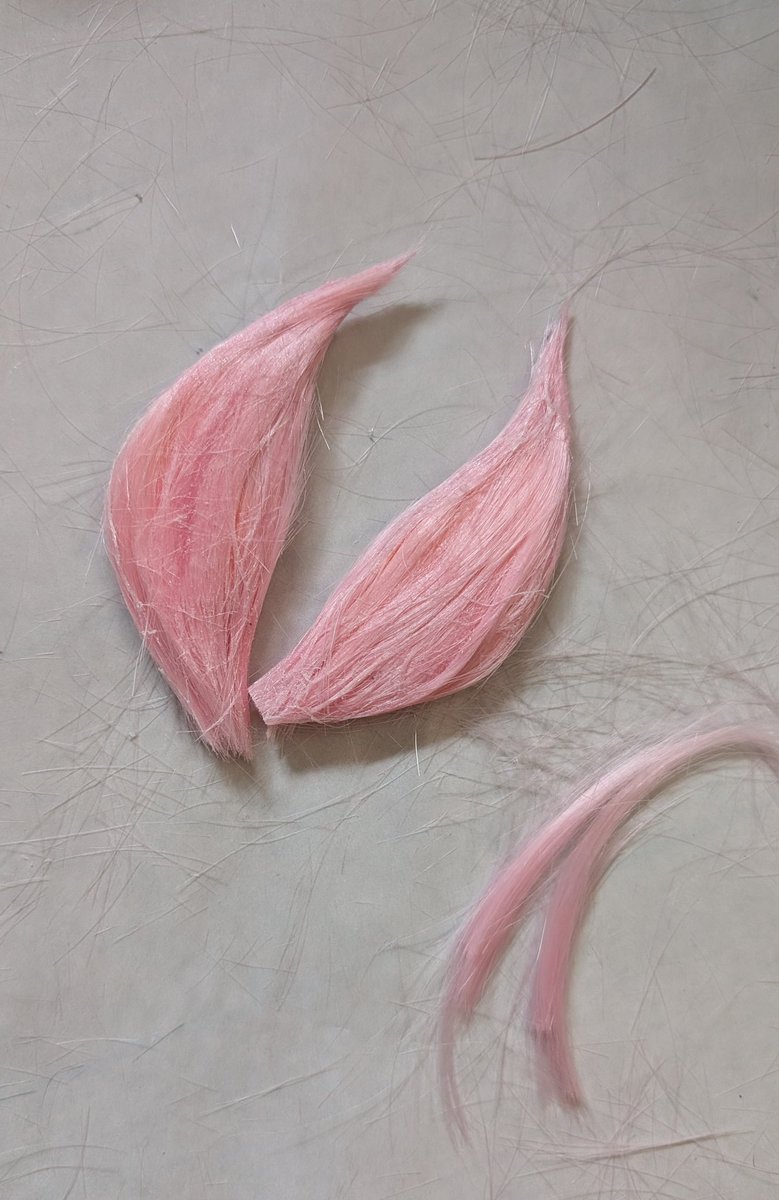 RAN▶5/3大分 こすすてーじ tweet media