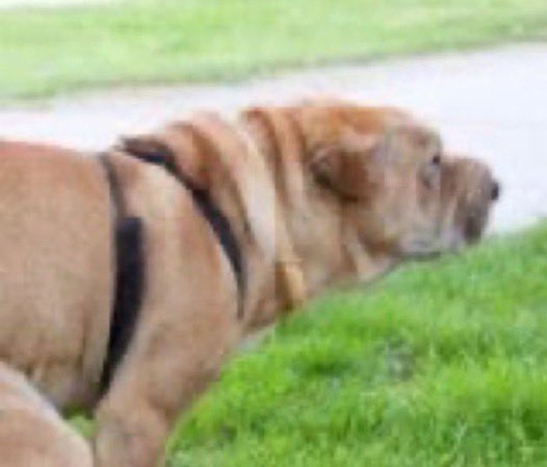 Airdrop Hunt with Lakhan 🪂 tweet media