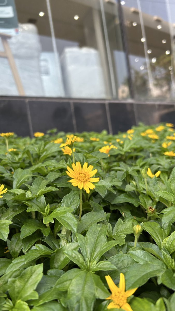 Nivethaa...!❣️ tweet media