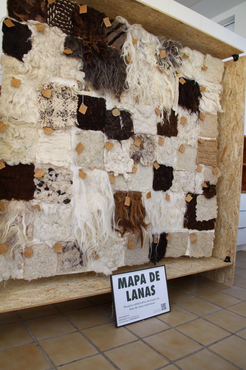 lolamerino68's tweet photo. 🐑Hoy en #Almagro, en el Palacio de Valdeparaíso, se ha hablado de razas autóctonas y legado en el roadshow ‘Bestiarium’ organizado por @interovic aunando arte, gastronomía y tradición rural.

👩‍🌾Y de las #pastoras que abrieron camino y del urgente #Relevo #Generacional. https://t.co/GR5m83J1vk