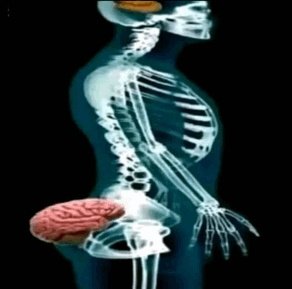 Daishikawa tweet media