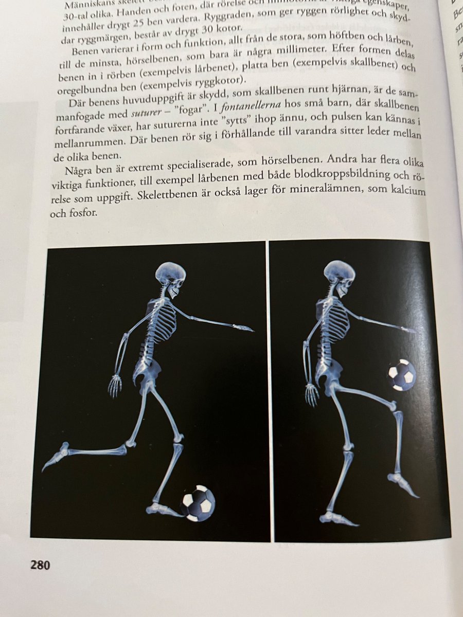 arvdiii's tweet photo. Wtf this skeleton balling fr https://t.co/Ph4RPkrU75