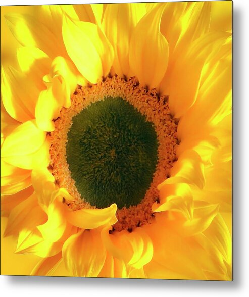 HurmerintaArt's tweet image. This glorious sunflower looks amazing on wall art. Come and have a look!
#sunflowers #wallart #bestgiftideas #homedcoration #inspiration 
johanna-hurmerinta.pixels.com/featured/glori…