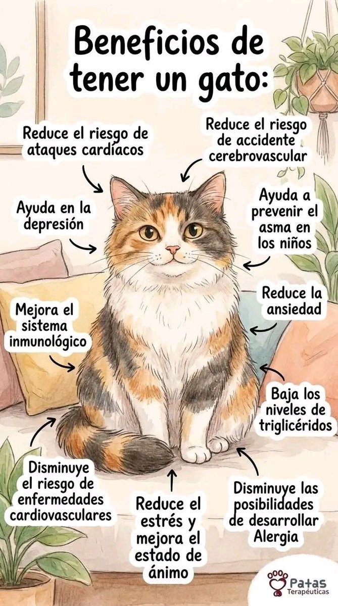 Beneficios ❤️🐱🐾