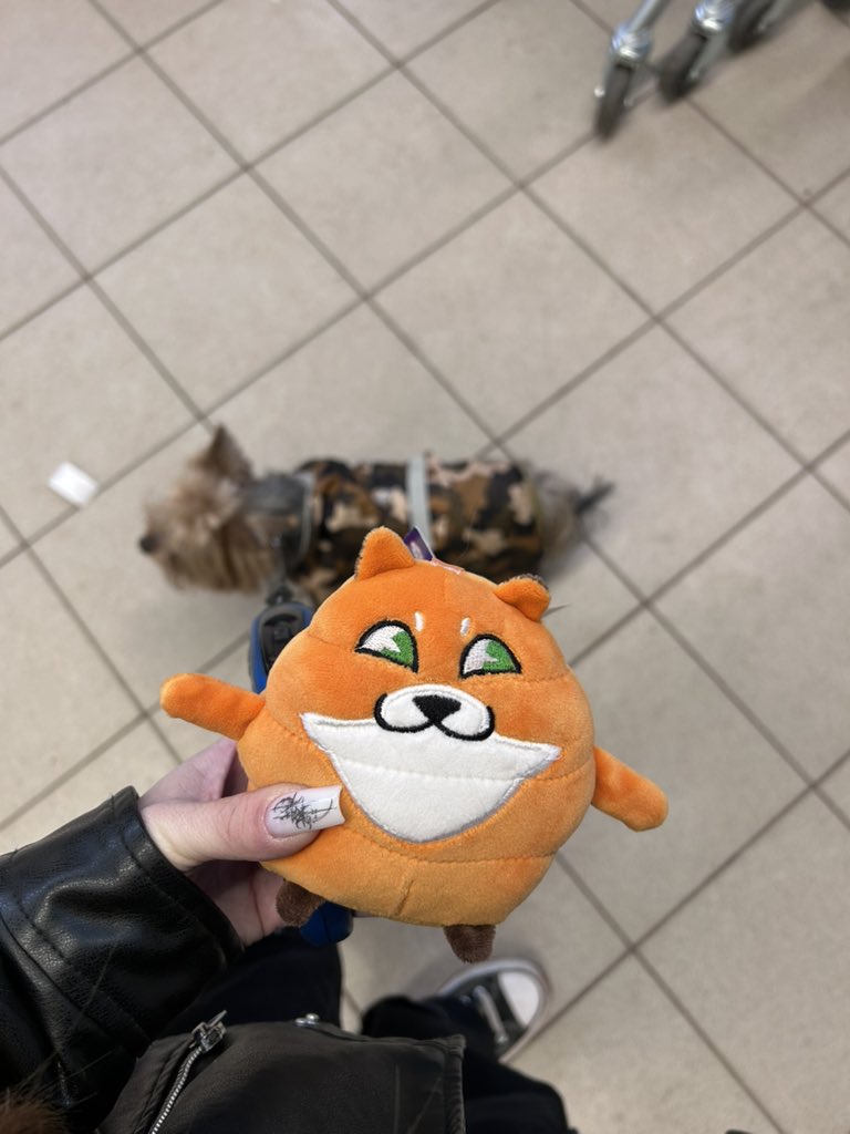 все мы теперь оба при игрушках