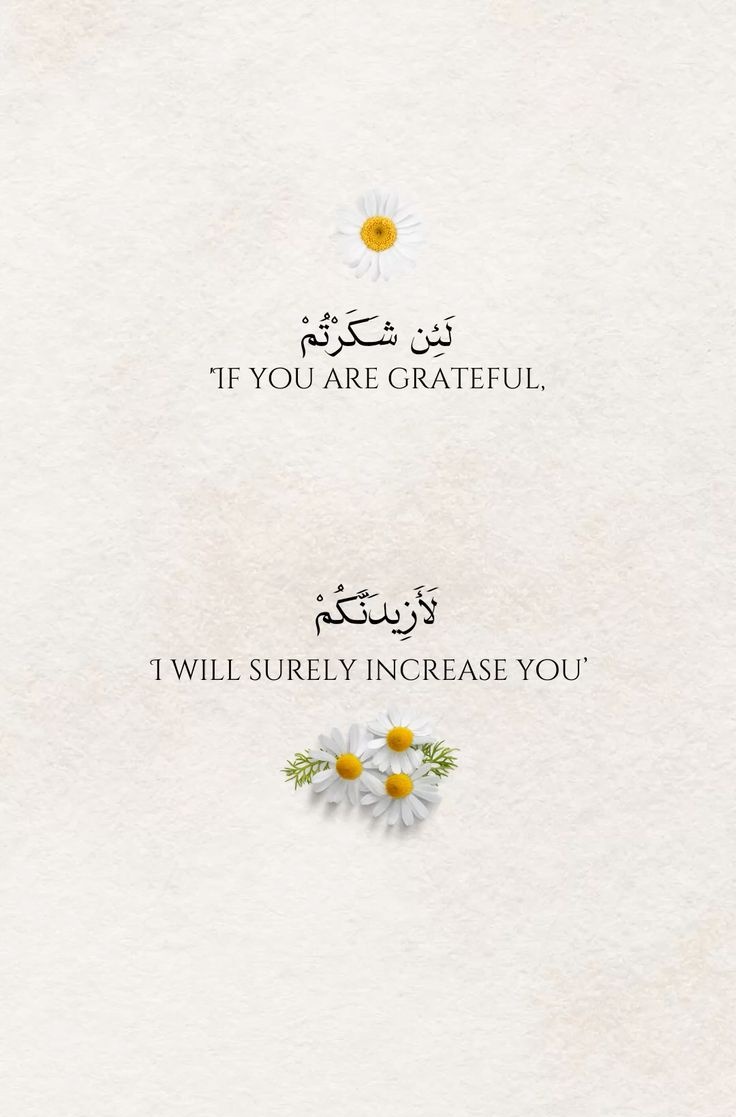مُطمئِنةَ.! tweet media
