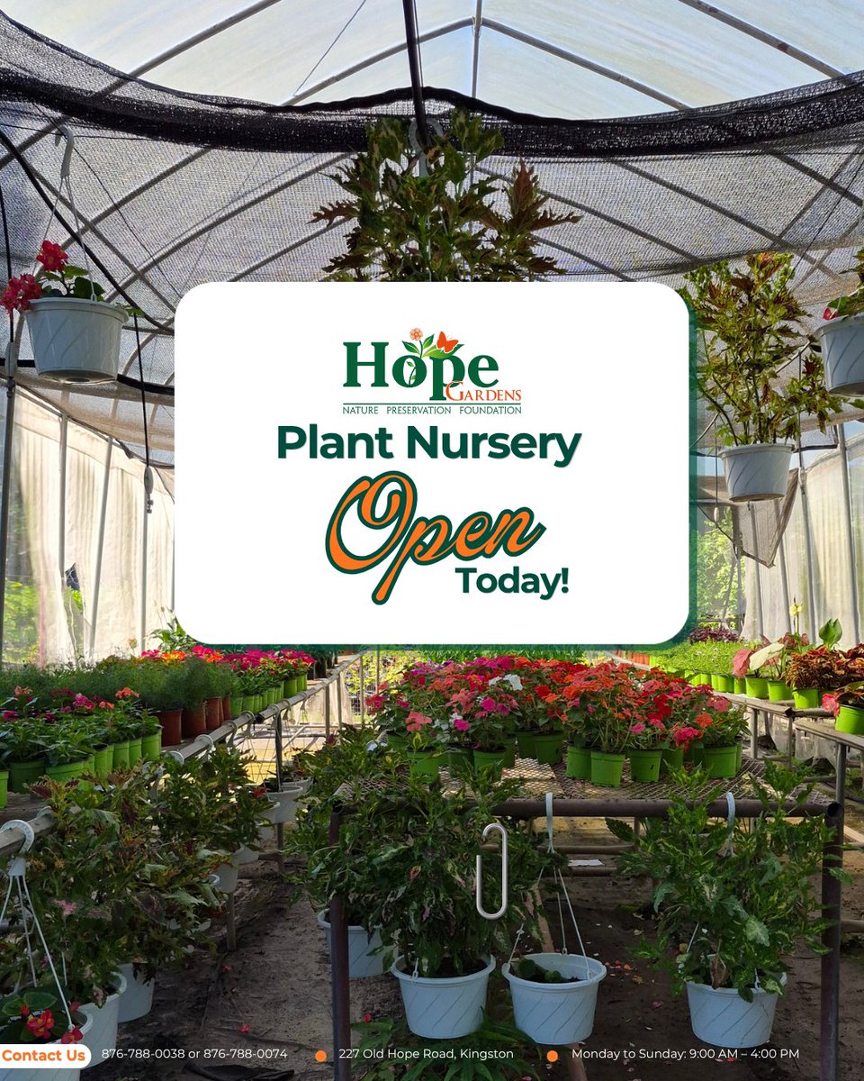 hopegardensja's tweet image. We are Open Today from 9 a.m. to 4 p.m. 

#SpringSale #PlantNursery #HopeGardens