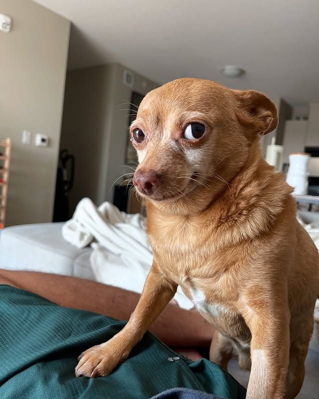 tuna🍣 tweet media