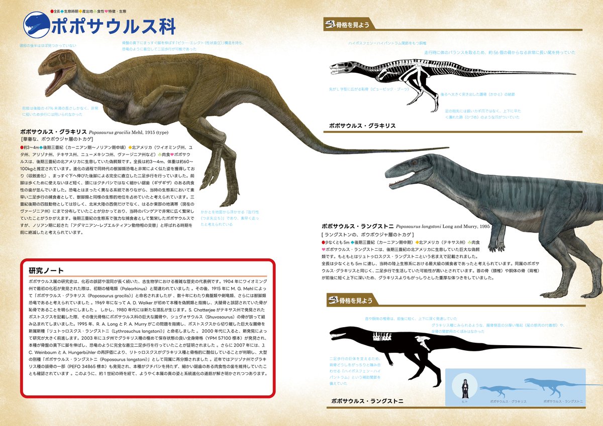 豊玉姫愛🐊偽鰐類系vtuber（とよたまひめあ） tweet media