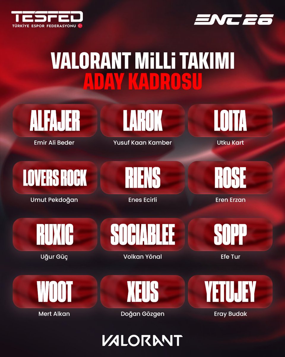 Türkiye Espor Federasyonu tweet media