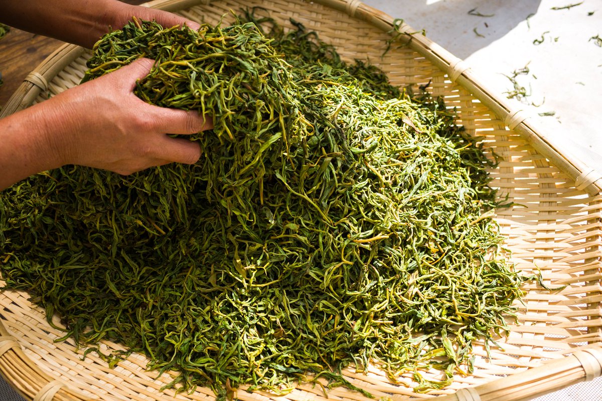 お茶の専門店HOJO tweet media