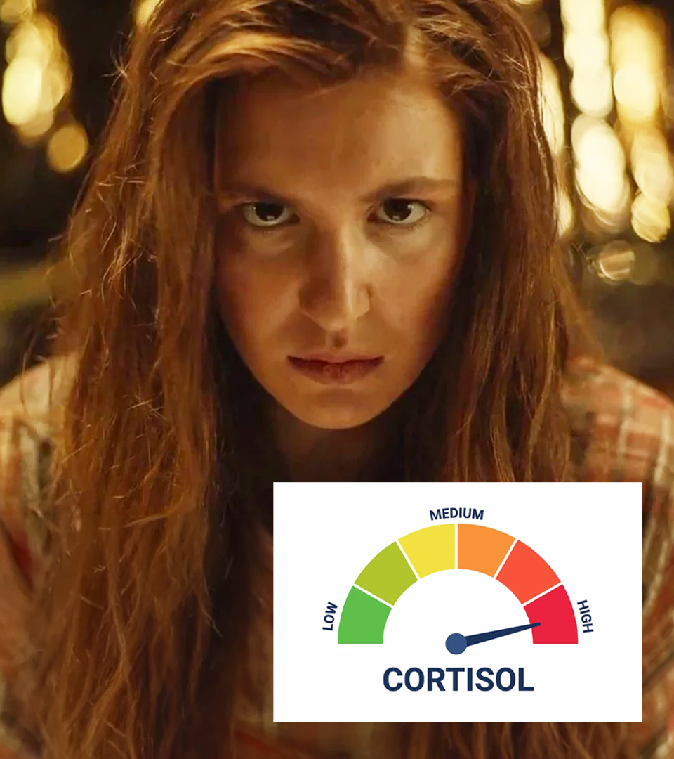 Paramount+ Brasil tweet media