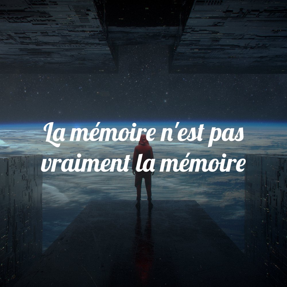 Proverbot 🌚 tweet media