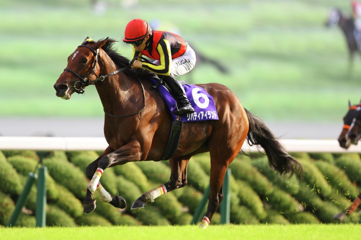 JRA-VAN公式 tweet media