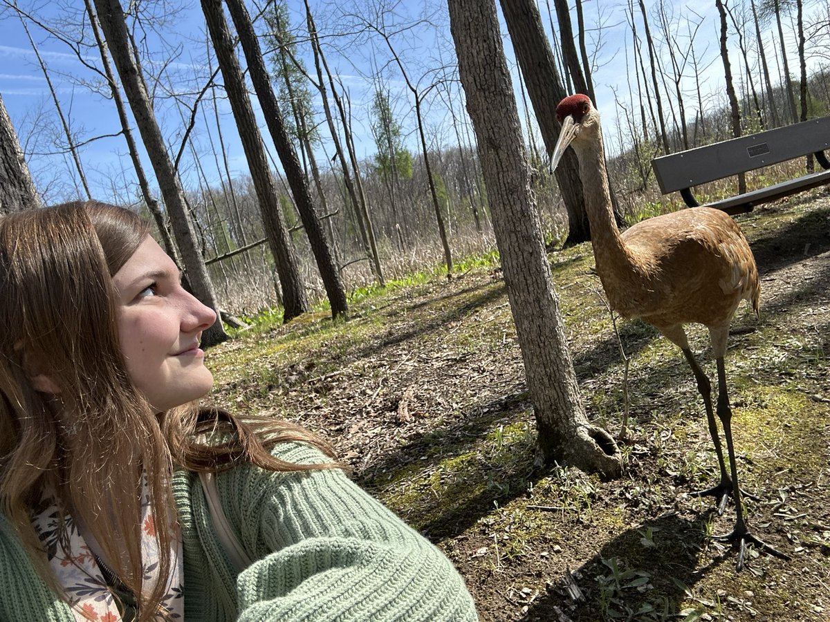 temmie 🌱🐞 tweet media