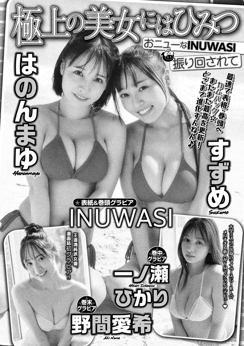 すずめ ｰ INUWASI tweet media