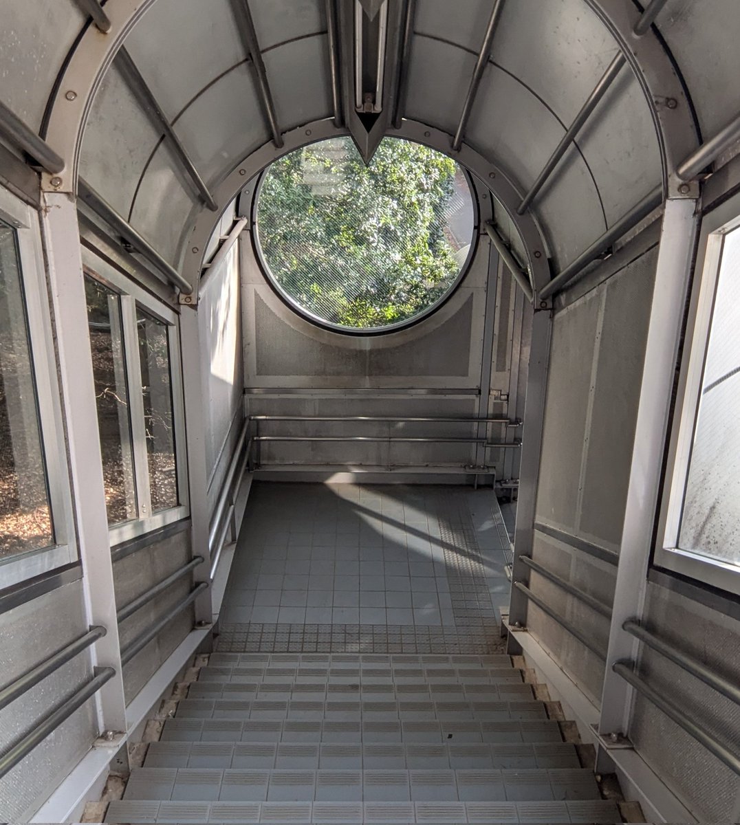 たろー◂Ⓘ▸ tweet media