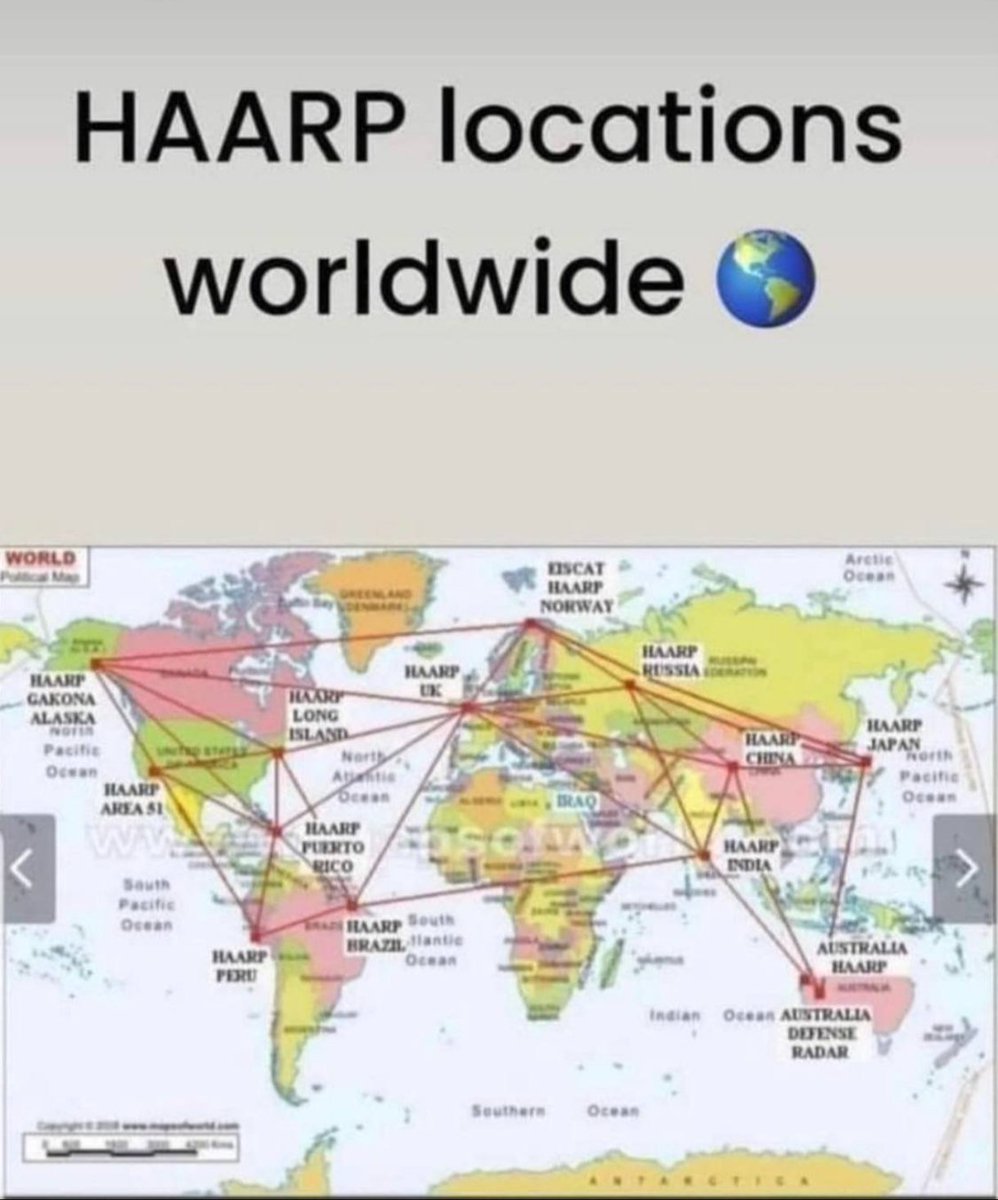 M Hauser tweet media