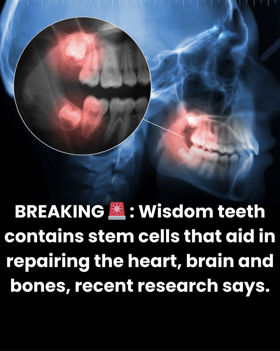 Shining Science tweet media