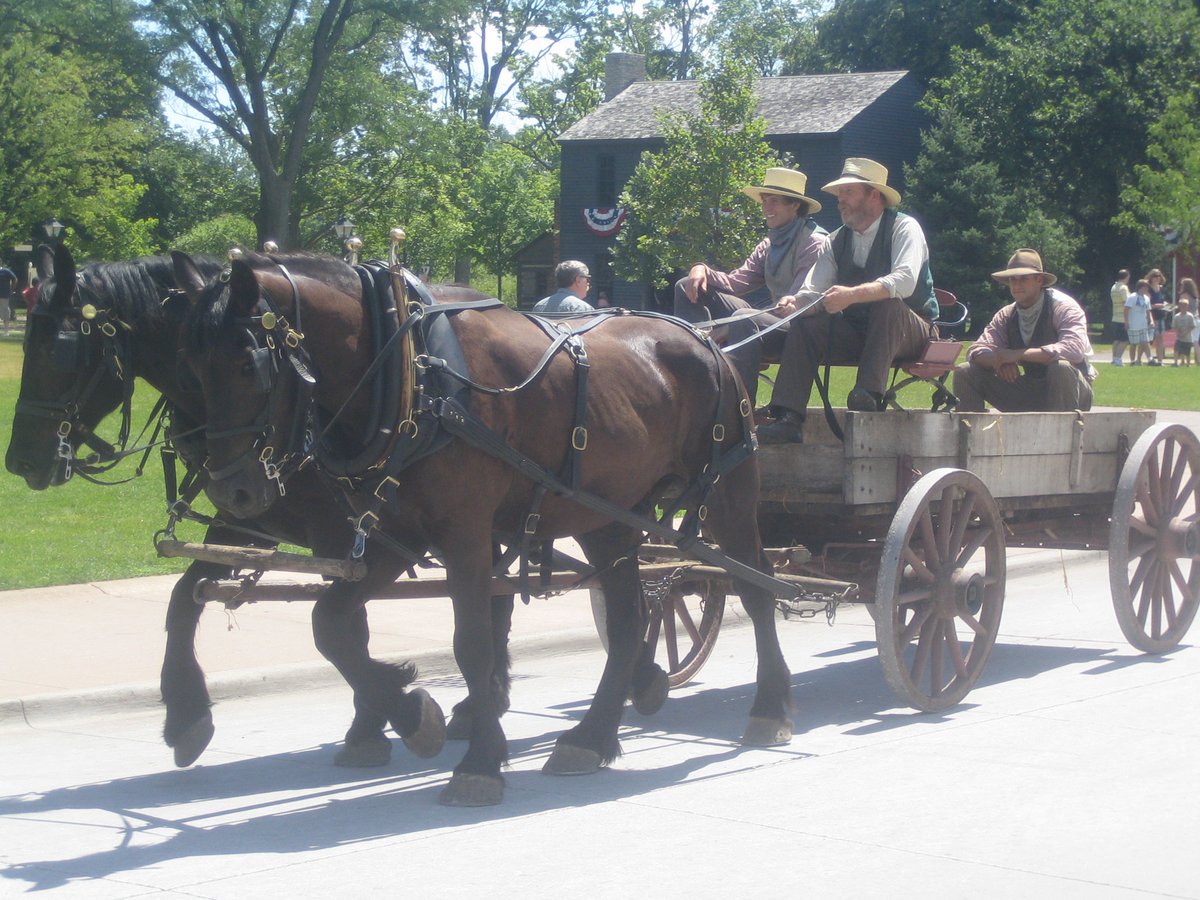 MarkWerling5's tweet image. Horse and buggy at Greenfield Village.        

All of their programs use authentic materials and methods.  #Horses