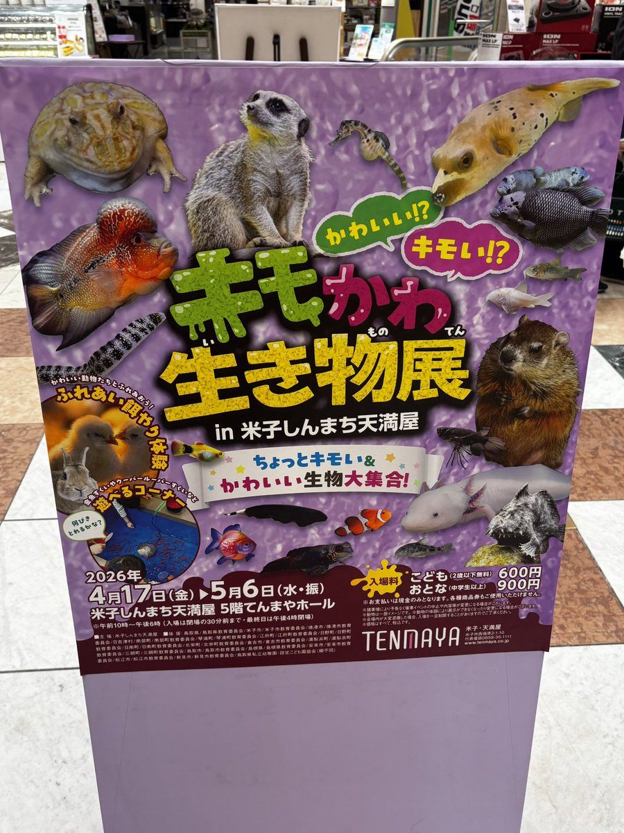 大御所よっしー tweet media
