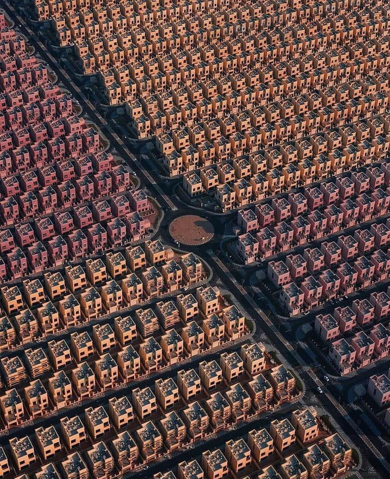 Trad West tweet media