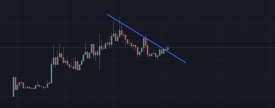 Miyamoto (Belief) tweet media