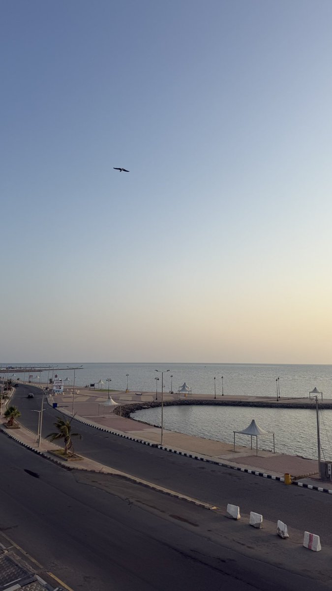 أحمدالزيادي tweet media