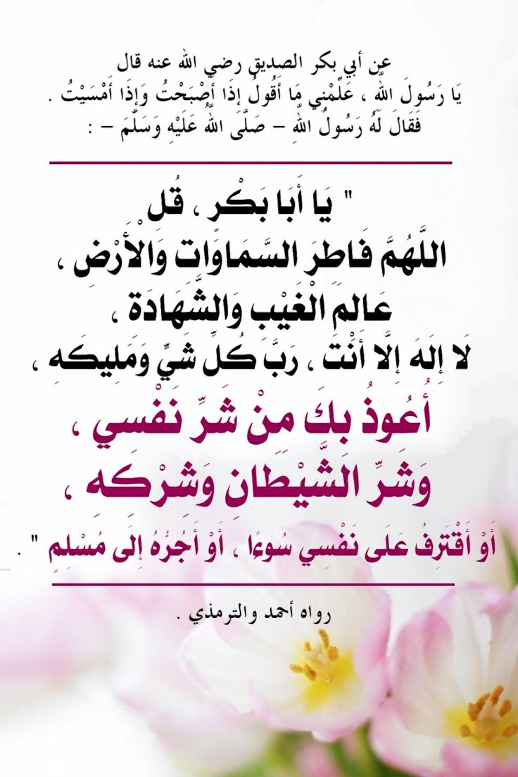 💛🖤 ȷᓗฺᓅ 🖤💛 tweet media