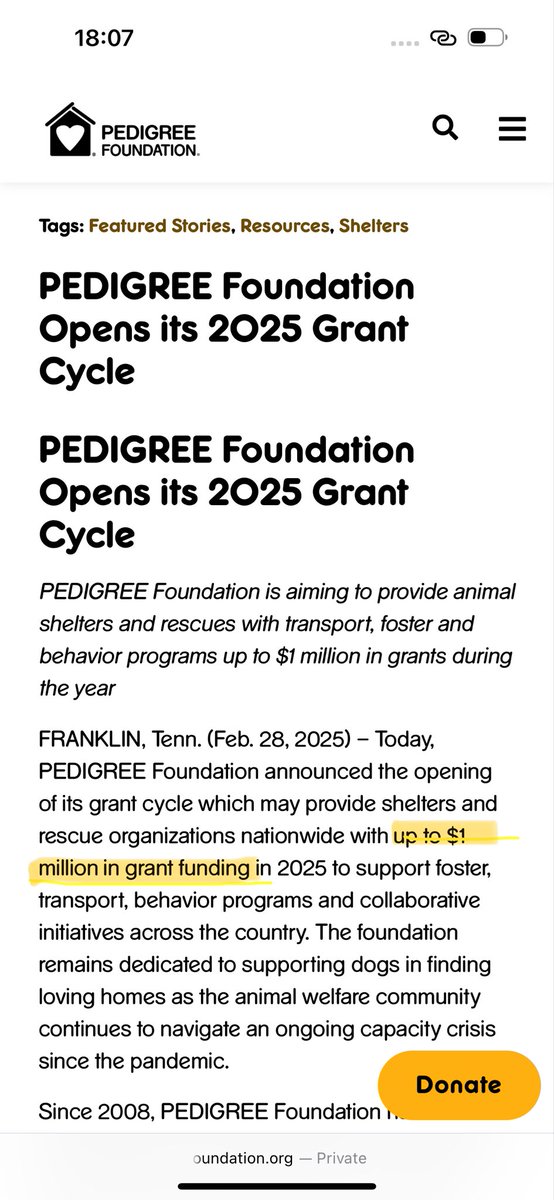 helpdogsinturkey tweet media