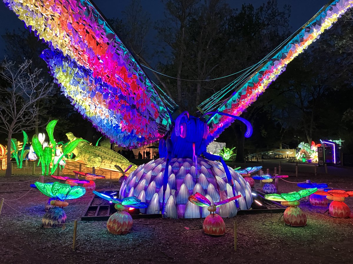 This was huge and the wings move
