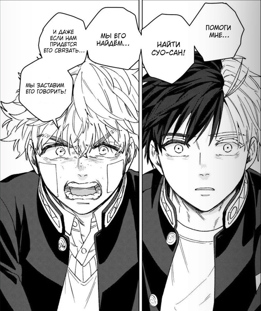 white rabbit🃏 tweet media