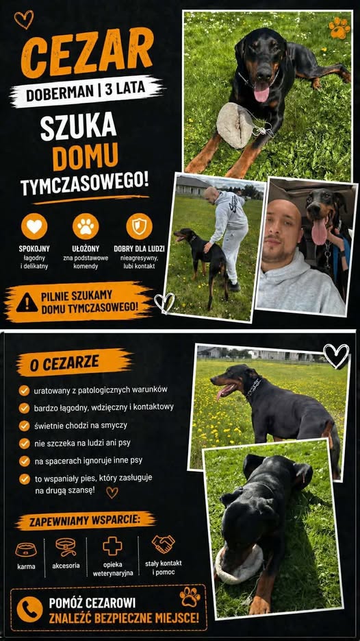 Fᴜɴᴅᴀᴄᴊᴀ Fᴇʟɪɴᴇᴜs tweet media