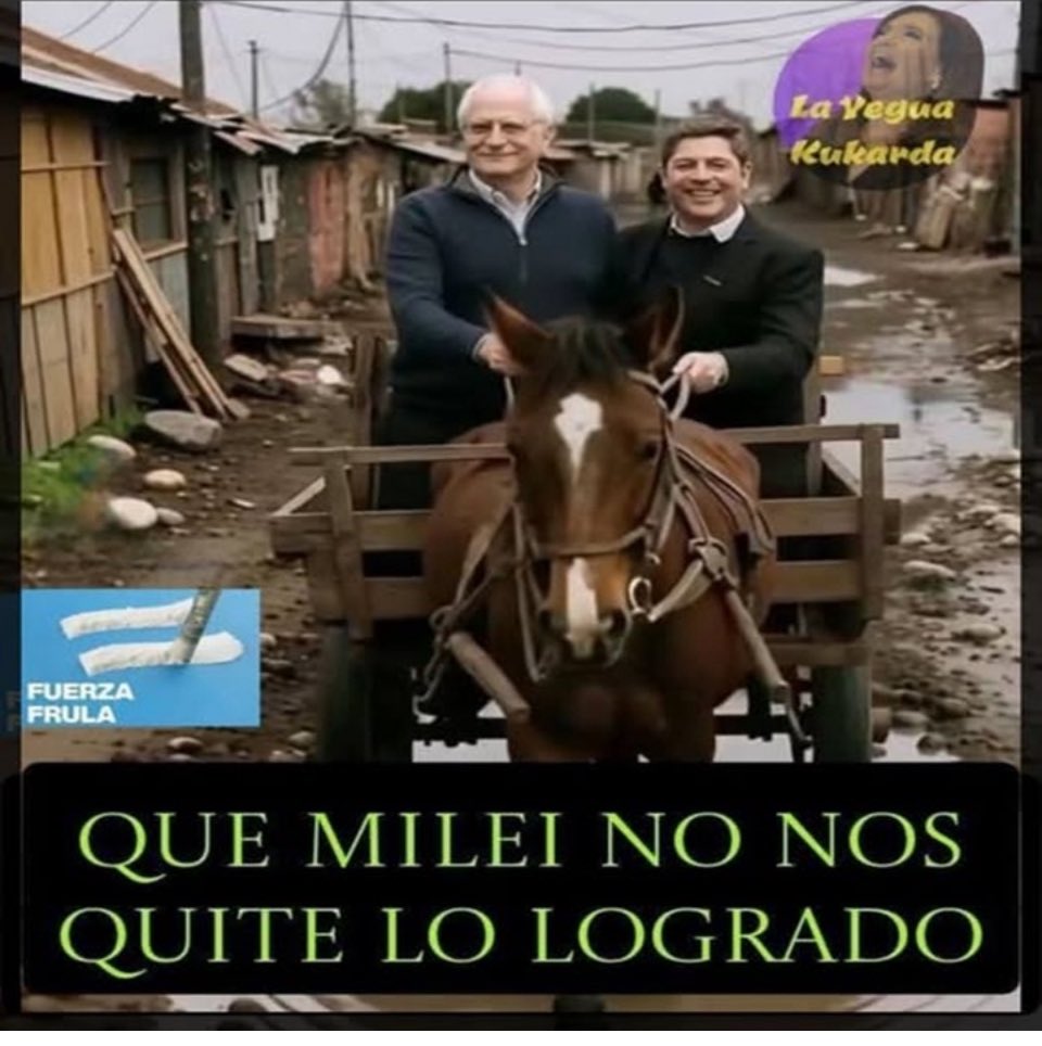 carlosa43216350's tweet photo. @elfachakicillof @MAEMDI @Kicillofok Jajajaja es un inútil , el peor gobernador de la PBA , un boludo que está a nivel de Brancatelli 👇🏽 https://t.co/jxMeL1UiPL