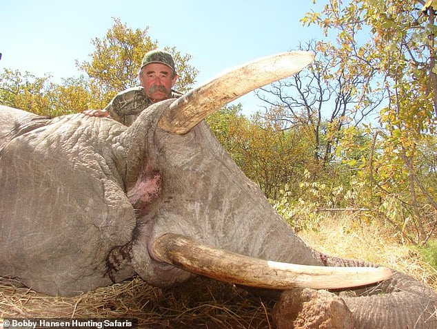 望海潮 Evan🇺🇸 tweet media