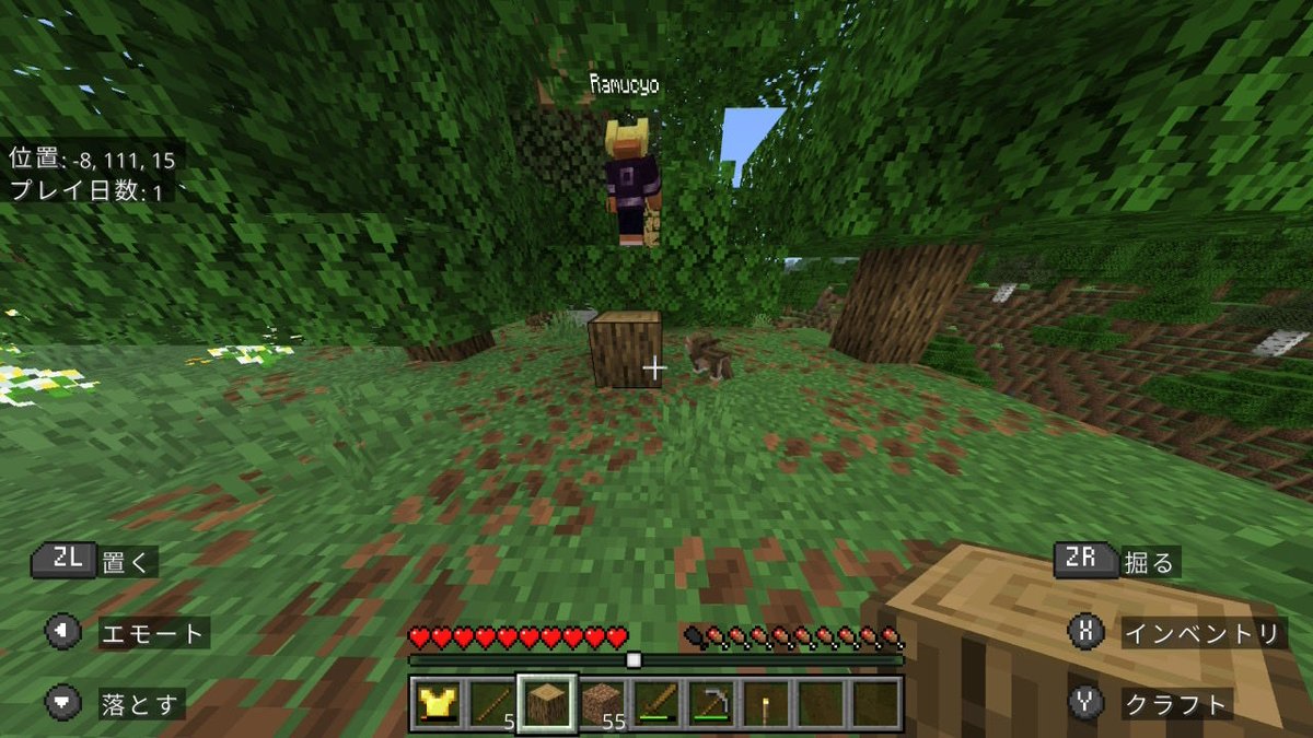 𓆩NØ.⑥𓆪 tweet media