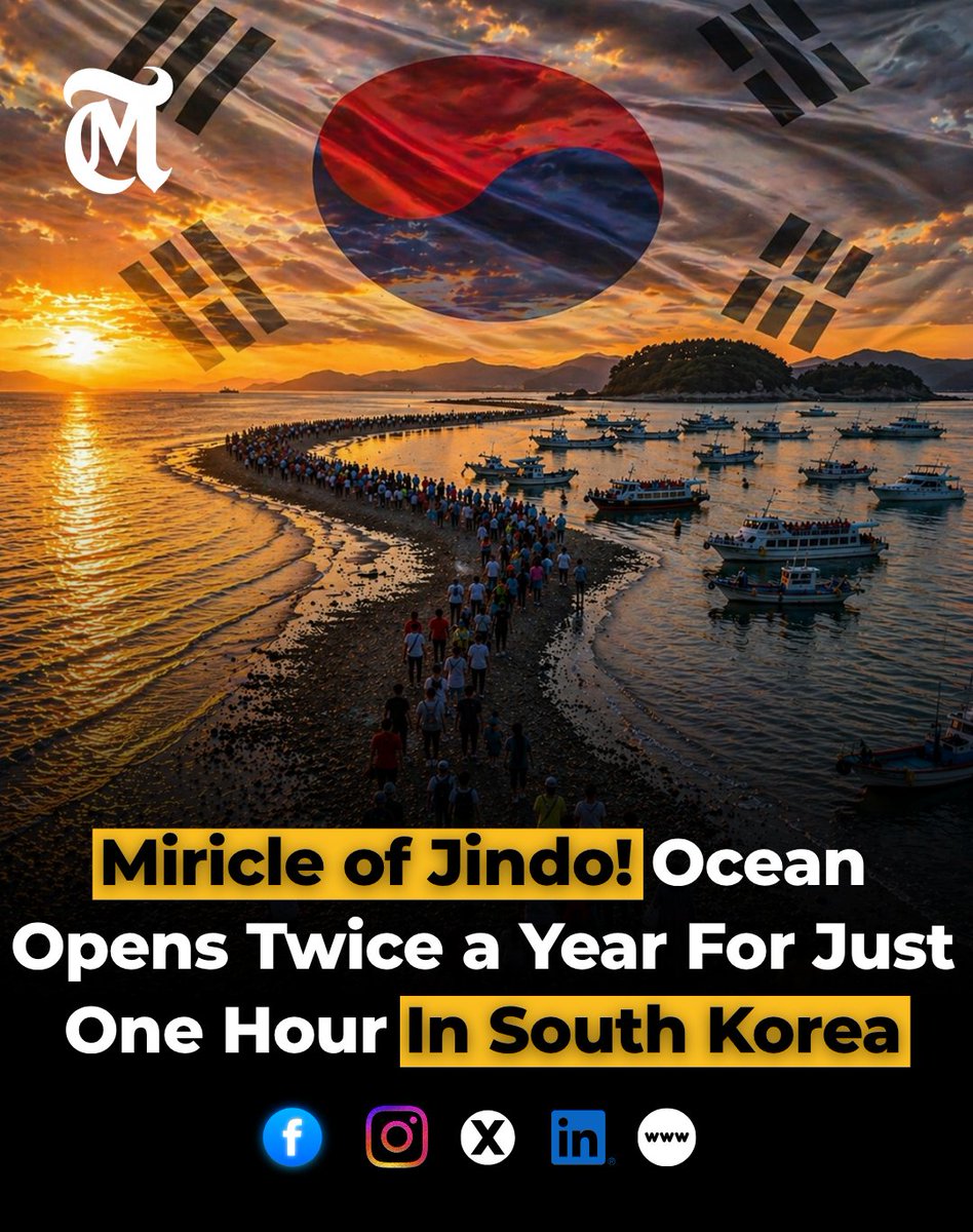 In South Korea, a rare natural event happens where the sea splits for about one hour, and it takes place twice every year.

Known as the Jindo Miracle Sea Road Festival, this phenomenon allows thousands of people to walk across the seabed between Jindo Island and Modo Island.