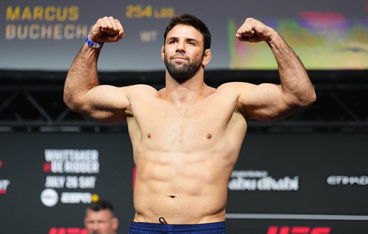 José Louis tweet media