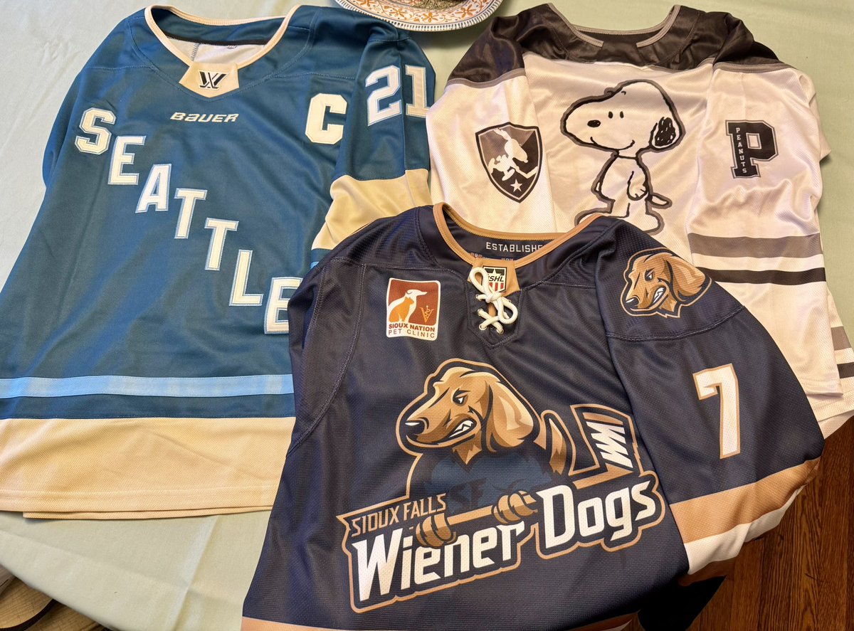 stubborn hockey lesbian tweet media